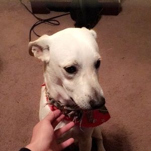 Meet your Posher, Aaron